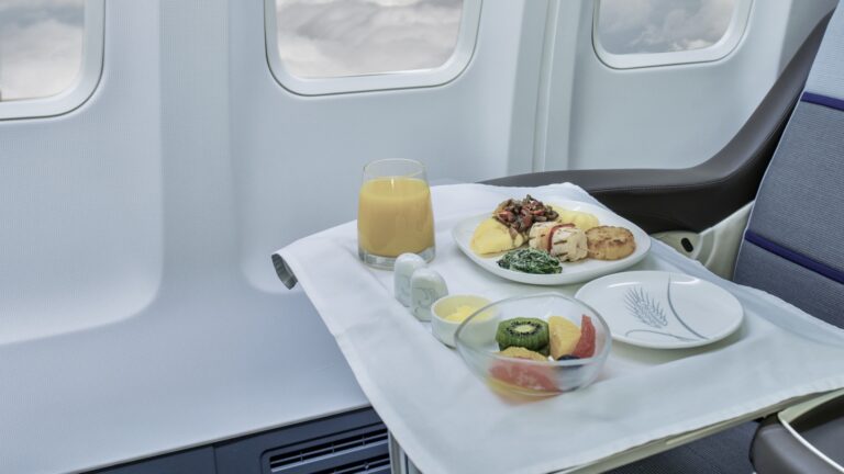 Airline Catering Meal