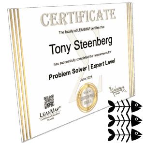 Problem Solving Training Certificate for Expert Level