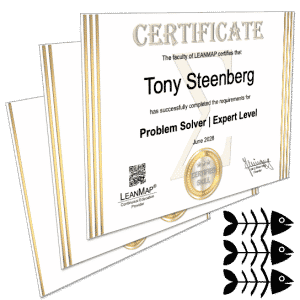 Problem Solving Training and Certification Courses