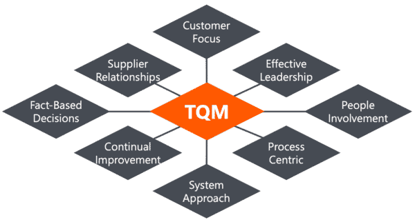 TQM Model 8 Principles